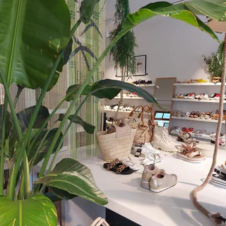 Heller Verkaufsraum der Boutique mit grünen Pflanzen und ausgestellten Schuhen